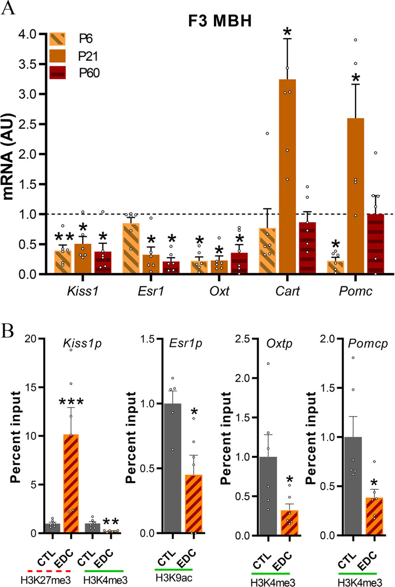 Figure 4a is a clustered bar graph titled uppercase f 3 mediobasal hypothalamus, plotting messenger ribonucleic acid (arbitrary units), ranging from 0.0 to 4.0 in increments of 0.5 (y-axis) across Kiss1 E s r1, O x t, Cart and P o m c (x-axis) for infant, prepubertal, and adult. Figure 4b is a set of four bar graphs, plotting percent input, ranging from 0 to 20 in increments of 5; 0.0 to 1.5 in increments of 0.5; 0.0 to 2.5 in increments of 0.5; and 0.0 to 2.0 in increments of 0.5 (y-axis) across H3K27m e3 and H3K4 m e 3, including control and endocrine disrupting chemicals; H3K9a c, including control and endocrine disrupting chemicals, H3K4m e3, including control and endocrine disrupting chemicals; and H3K4m e3, including control and endocrine disrupting chemicals (x-axis) for Kiss1p Esr1p, O x t p, and P o m c p, respectively.