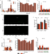 Figure 6a is a clustered bar graph titled uppercase f 3 mediobasal hypothalamus, plotting messenger ribonucleic acid (arbitrary units), ranging from 0.0 to 2.5 in increments of 0.5 and 3 to 7 in unit increments (y-axis) across T h, D n m1 m D r d1, and Darp p32 (x-axis) for infant, prepubertal, and adult. Figure 6b is a clustered bar graph titled uppercase f 1 T h p, plotting percent methylation, ranging from 0.0 to 1.0 in increments of 0.2 (y-axis) across C p G sites, ranging from 1 to 13 in unit increments (x-axis). Figure 6c is a bar graph titled uppercase f 1 T h p, plotting percent input, ranging from 0 to 5 in unit increments (y-axis) across H3K27m e3, H3K9m e3, H3K4m e3, and H3K9a c, including control and endocrine disrupting chemicals. Figure 6d is a set of two line graphs, plotting uppercase y (micrometer), ranging from 300 to 0 in decrements of 50 (y-axis) across y (micrometer), ranging from 0 to 800 in increments of 100 (x-axis) for control, T H, mPoA, and third ventricle; and Endocrine Disrupting Chemicals, T H, mPoA, and third ventricle, respectively. Figure 6e is a bar graph, plotting T H-ir cells per cubic millimeter, ranging from 0 to 200 in increments of 50 (left y-axis) and T H-ir cells per cubic millimeter, ranging from 0 to 5 in unit increments (right y-axis) across control, endocrine disrupting chemicals, control, endocrine disrupting chemicals, control, and endocrine disrupting chemicals for S N, V T A, and mPoA. Figure 6f is a clustered bar graph titled uppercase f 3 mediobasal hypothalamus, plotting messenger ribonucleic acid (arbitrary units), ranging from 0.0 to 1.5 in increments of 0.5 (y-axis) across T H and D r d1 (x-axis) for infant, prepubertal, and adult. Figure 6g is a clustered bar graph titled uppercase f 3 T h p, plotting percent methylation, ranging from 0.0 to 1.0 in increments 0.2 (y-axis) across C p G site, ranging from 1 to 13 in unit increments (x-axis) for control and endocrine disrupting chemicals. Figure 6h is a bar graph titled uppercase f 3 T h p, plotting percent input, ranging from 0 to 6 in unit increments (y-axis) across H3K27m e3, H3K9m e3, H3K4m e3, and H3K9a c, including control and endocrine disrupting chemicals.