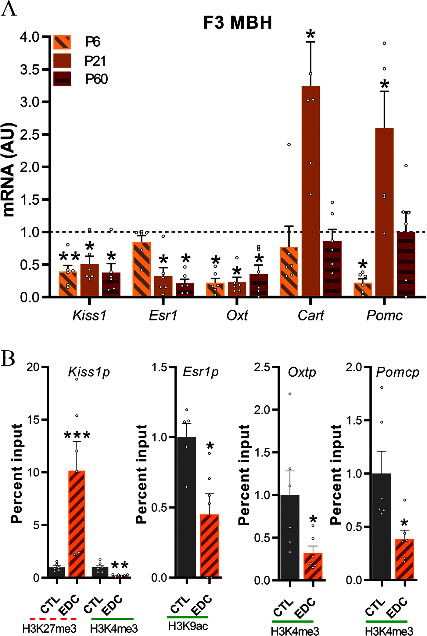 Figure 4a is a clustered bar graph titled uppercase f 3 mediobasal hypothalamus, plotting messenger ribonucleic acid (arbitrary units), ranging from 0.0 to 4.0 in increments of 0.5 (y-axis) across Kiss1 E s r1, O x t, Cart and P o m c (x-axis) for infant, prepubertal, and adult. Figure 4b is a set of four bar graphs, plotting percent input, ranging from 0 to 20 in increments of 5; 0.0 to 1.5 in increments of 0.5; 0.0 to 2.5 in increments of 0.5; and 0.0 to 2.0 in increments of 0.5 (y-axis) across H3K27m e3 and H3K4 m e 3, including control and endocrine disrupting chemicals; H3K9a c, including control and endocrine disrupting chemicals, H3K4m e3, including control and endocrine disrupting chemicals; and H3K4m e3, including control and endocrine disrupting chemicals (x-axis) for Kiss1p Esr1p, O x t p, and P o m c p, respectively.