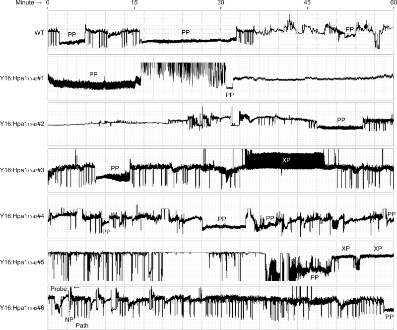 Fig. 3.