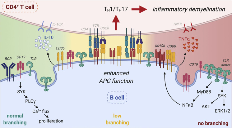 Figure 6