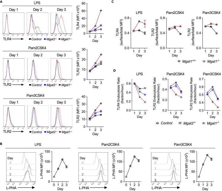 Figure 2