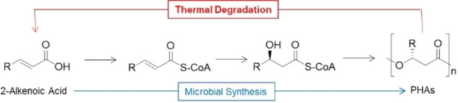 Scheme 2