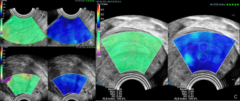 Fig. 6