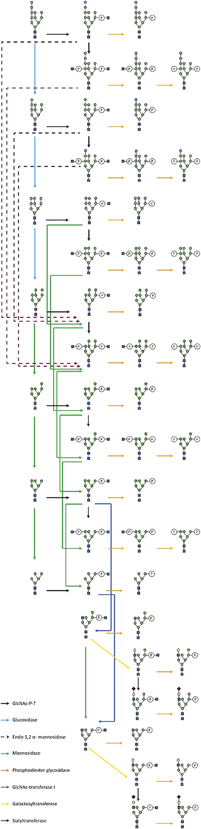 Figure 6