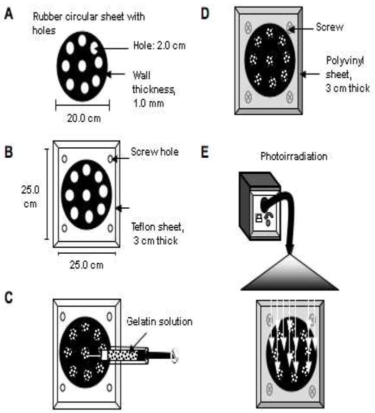 Fig. 4