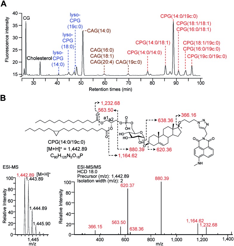 Fig. 2