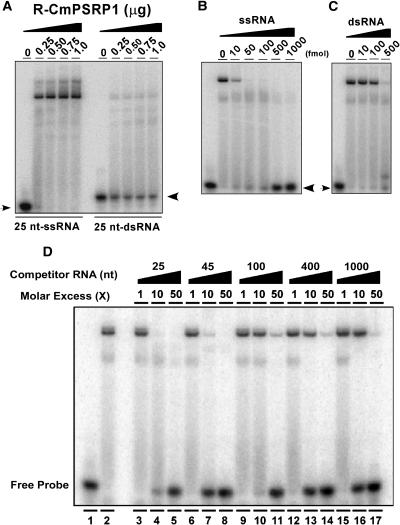 Figure 9.