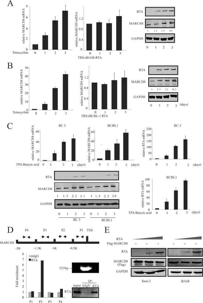 FIG 4