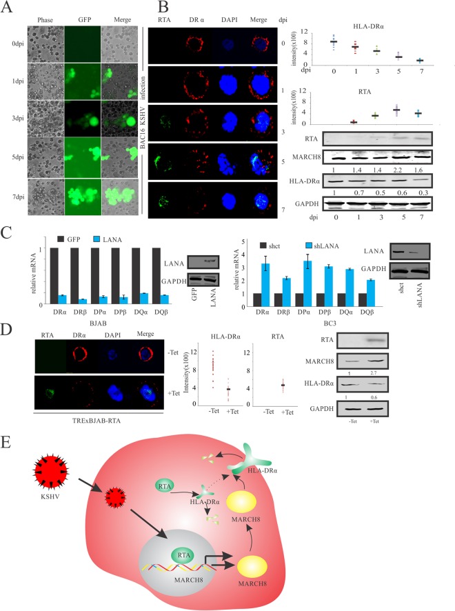 FIG 6