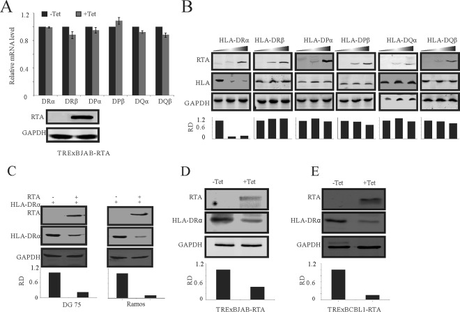 FIG 1