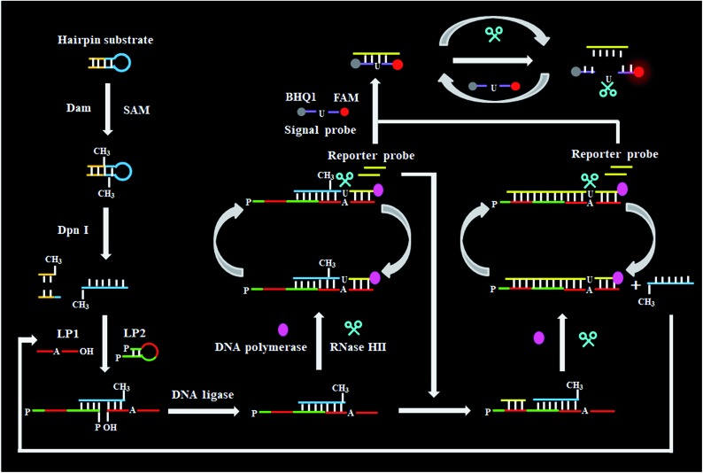 Scheme 1