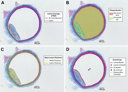 Fig. 2.