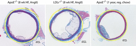 Fig. 11.