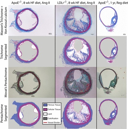 Fig. 7.