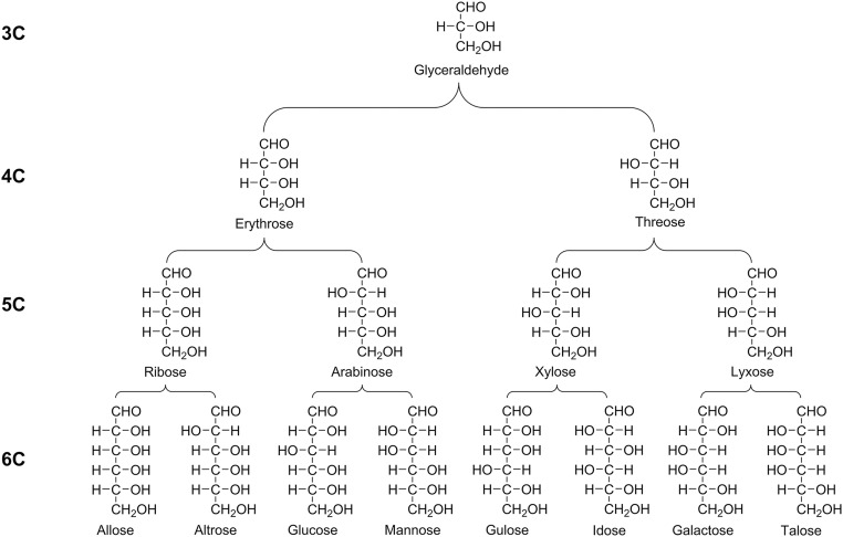 Fig. S5.