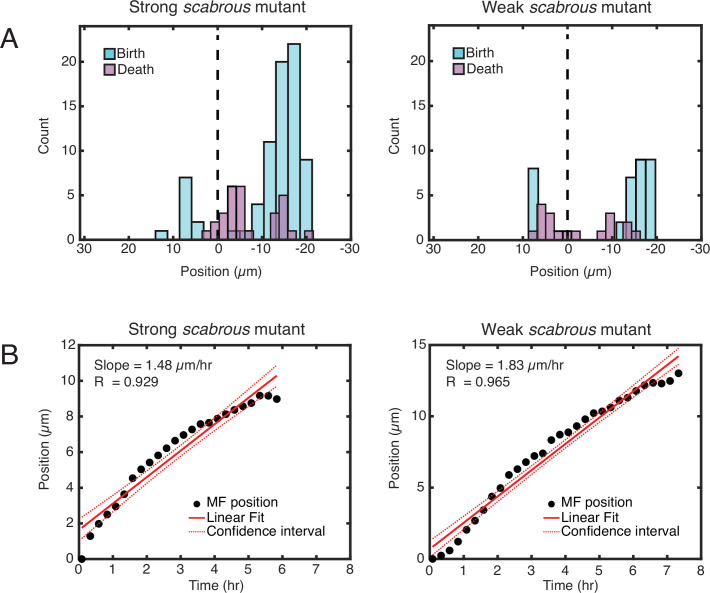 Figure 4—figure supplement 1.