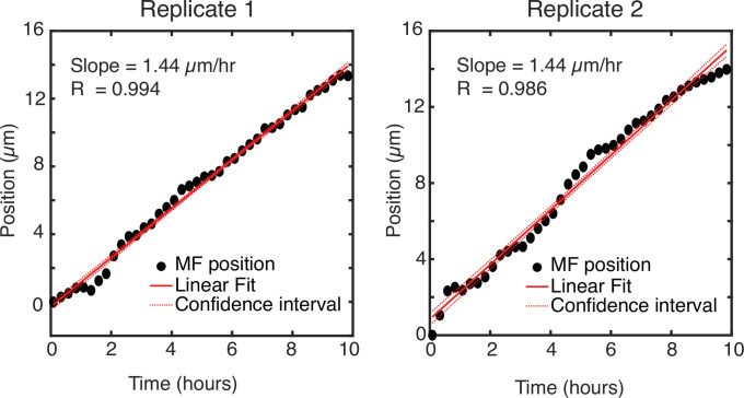 Figure 2—figure supplement 1.