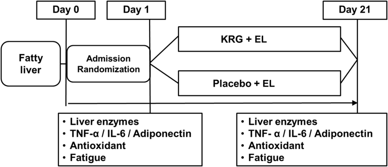 Fig. 2