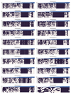 Extended Data Fig. 7