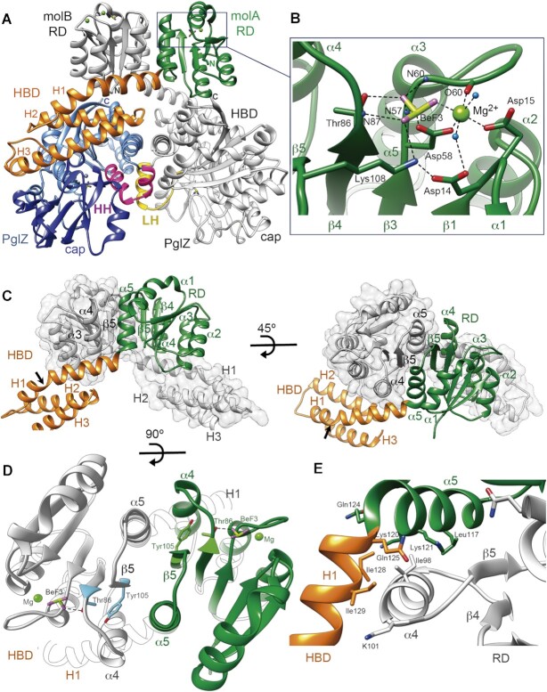 Figure 2.