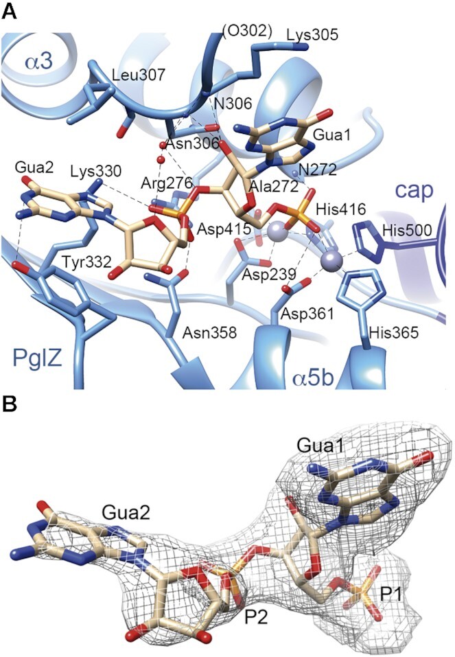 Figure 6.