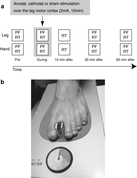 Fig. 1