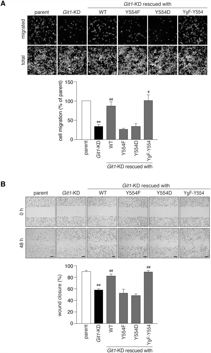 Fig 8