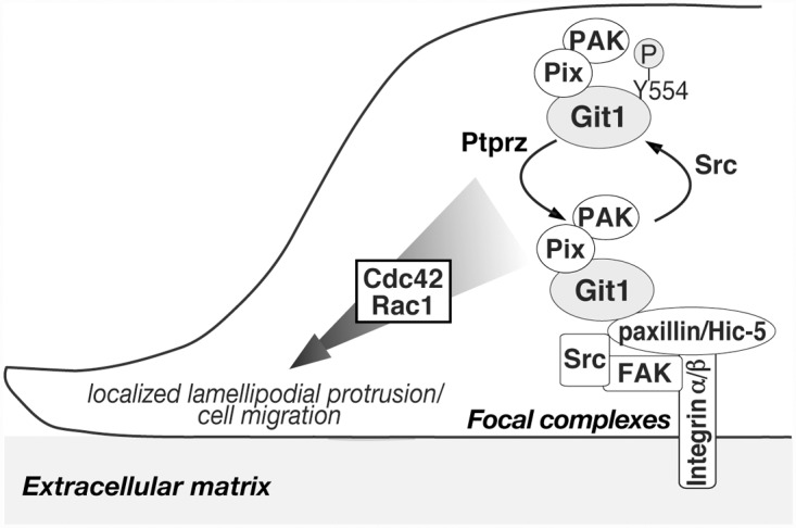 Fig 10