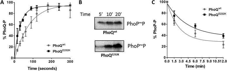 FIG 5 