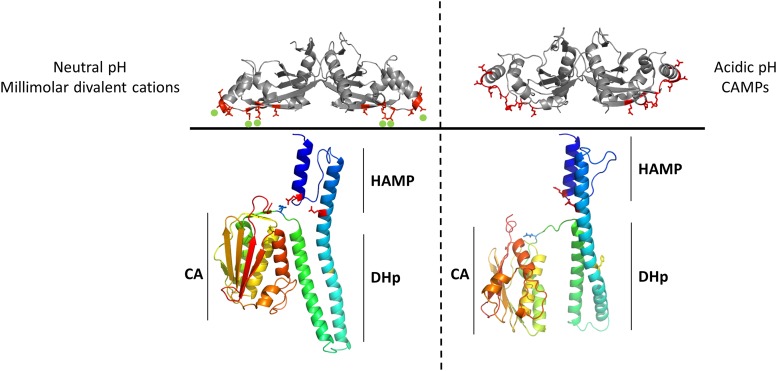 FIG 6 