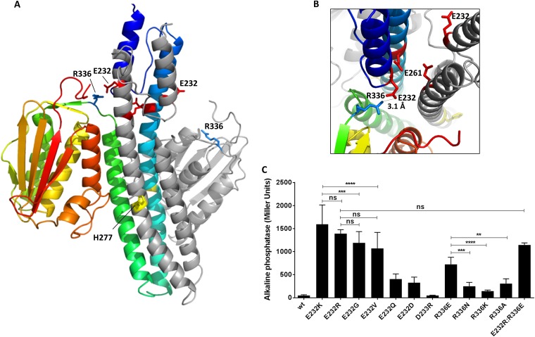 FIG 4 