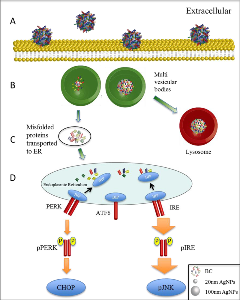 Figure 6: