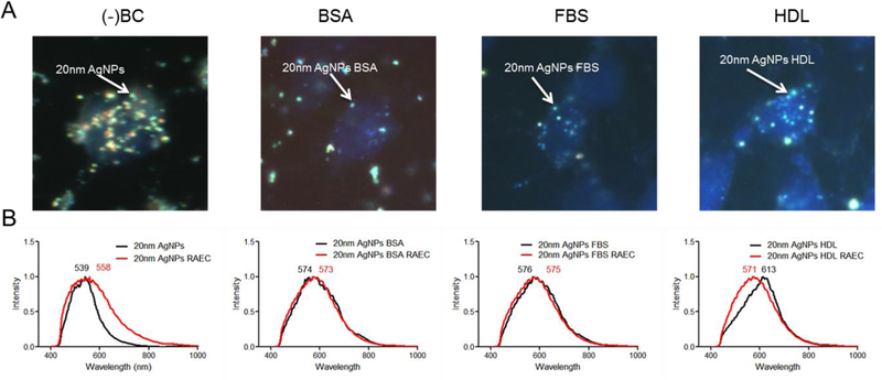 Figure 4: