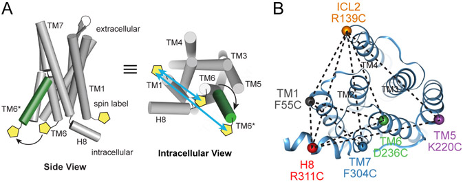 Figure 1: