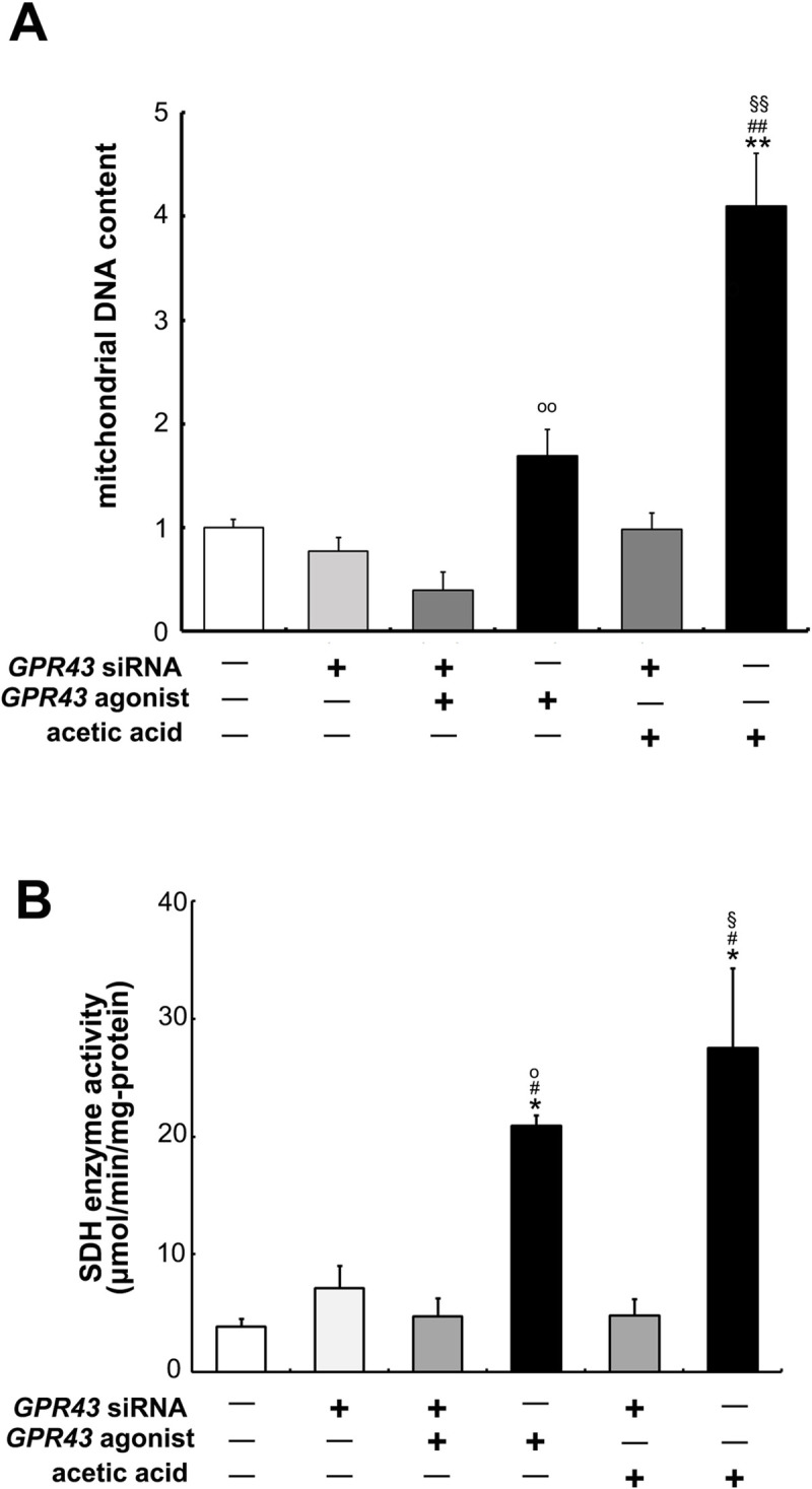 Fig 8