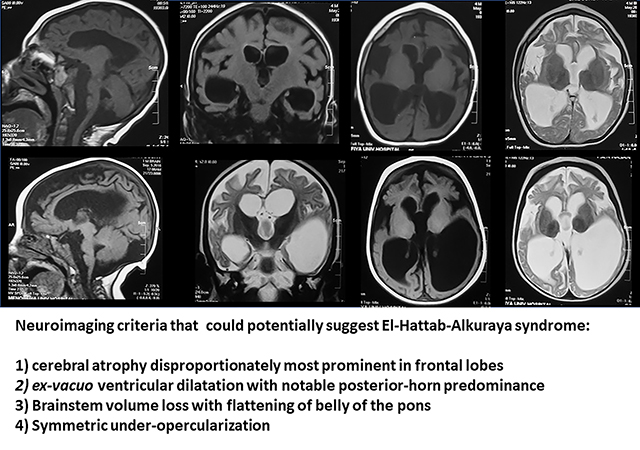 graphic file with name nihms-1791957-f0001.jpg