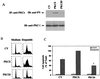 FIG. 9.