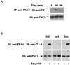 FIG. 8.