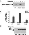 FIG. 10.