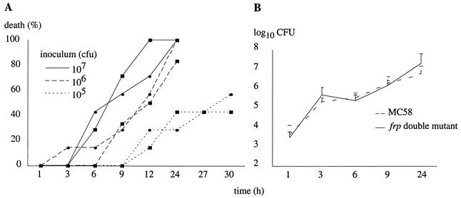 FIG. 3.