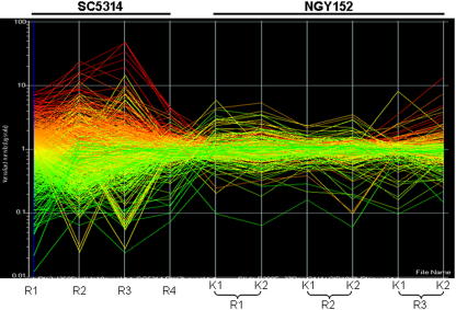 Fig. 4