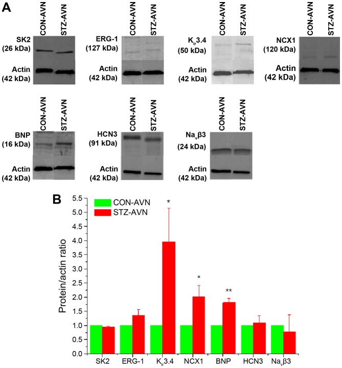 Figure 10.