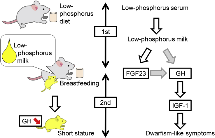 Fig. 6