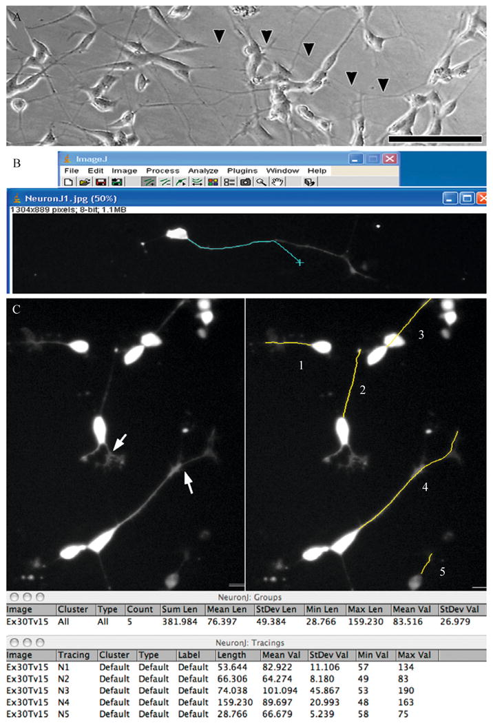 Figure 11.1