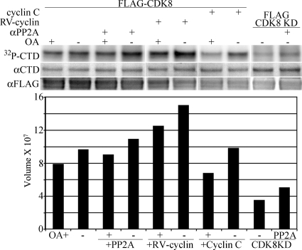 Fig 5