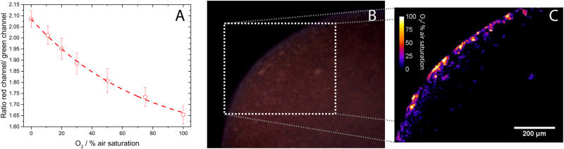 Fig. 7