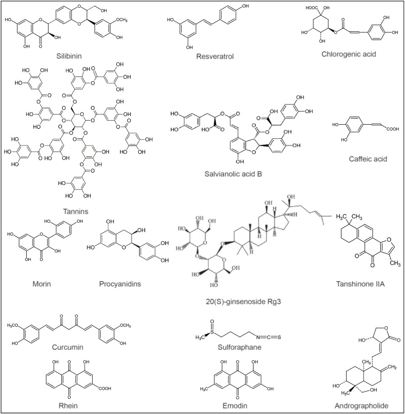 FIGURE 2