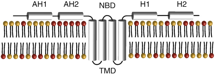 Fig. 1