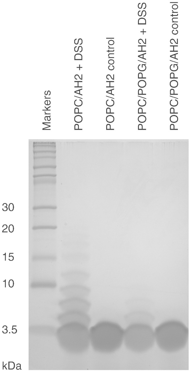 Fig. 5